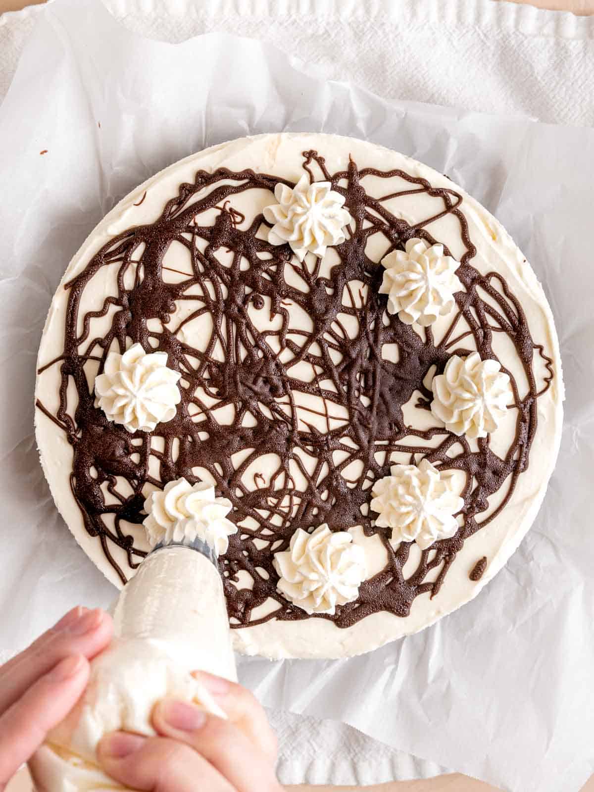 Piping whipped cream on top of a no bake peppermint cheesecake.