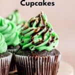 Chocolate Mint Cupcakes Pin