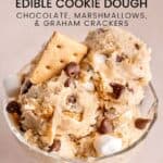 S'mores Edible Cookie Dough Pin