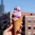 Blueberry lemon cheesecake ice cream swirled in a waffle cone.