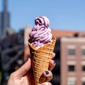 Blueberry lemon cheesecake ice cream swirled in a waffle cone.