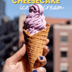 Blueberry Lemon Cheesecake Ninja Creami Ice Cream Pin
