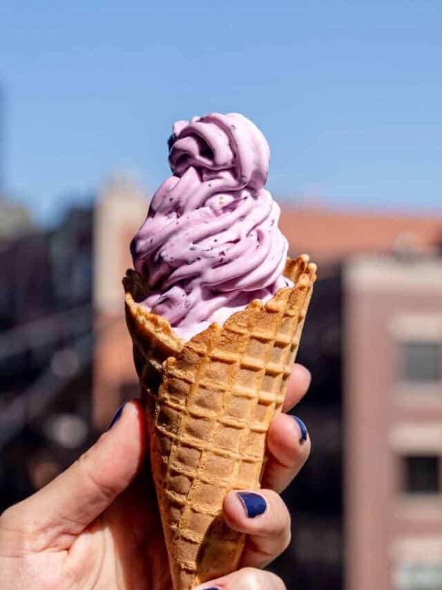 Blueberry Lemon Cheesecake Ice Cream (Ninja Creami)