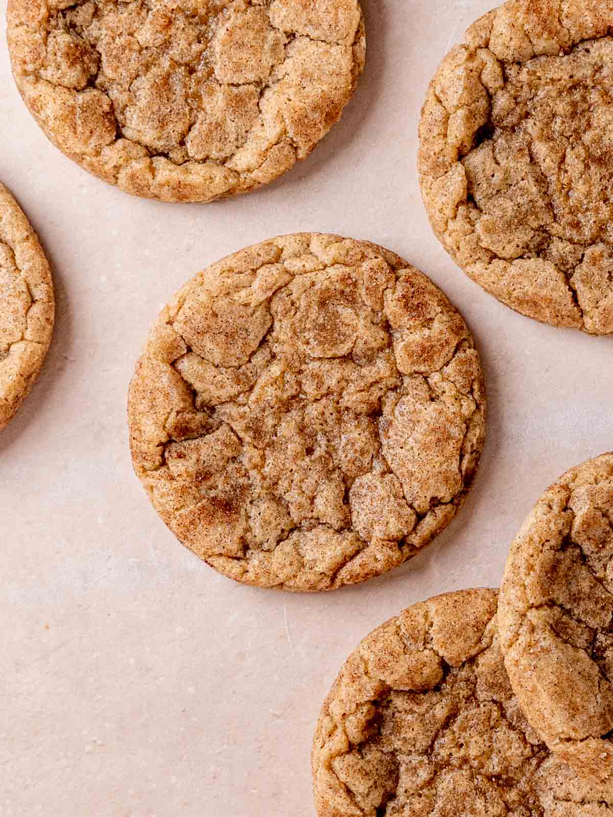 Sourdough snickerdoodle cookies sprinkled with cinnamon.