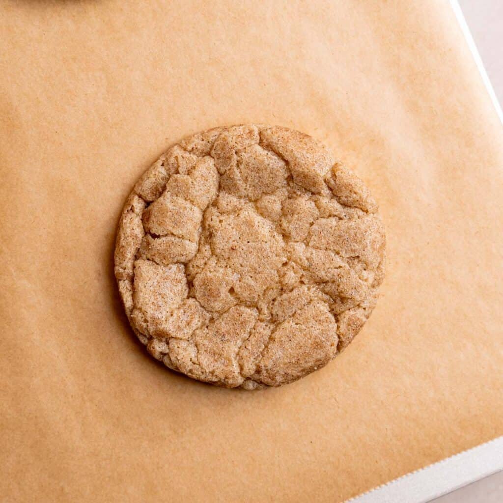Single snickerdoodle cookie with lightly golden edges.