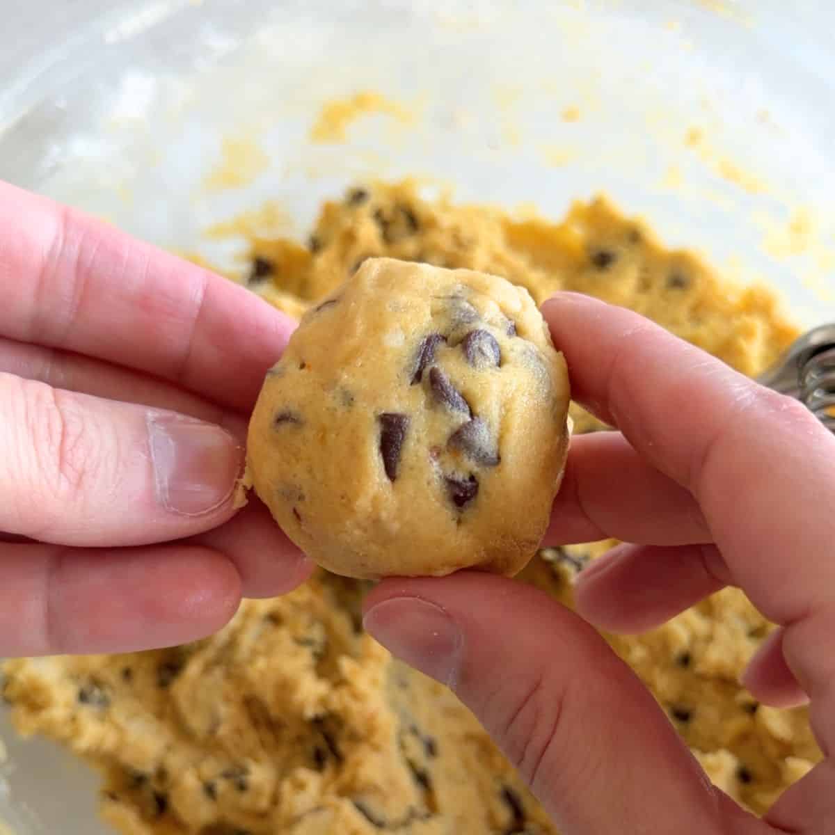 Orange almond chocolate chip cookie dough rolled into balls.