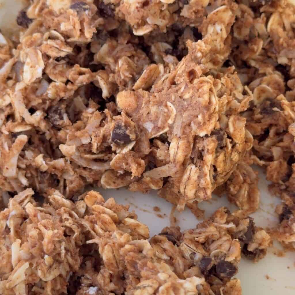 Almond butter, oats, shredded coconut, honey, and mini chocolate chips mixed together.